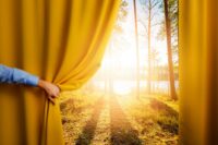 Corporate Social Innovation Corporate Social Innovation