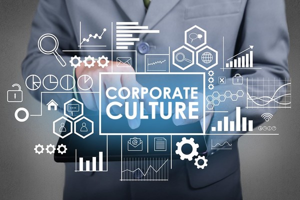 Exploring culture of innovation