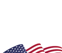 Transformative-Solutions-for-Government diversité, équité et inclusion