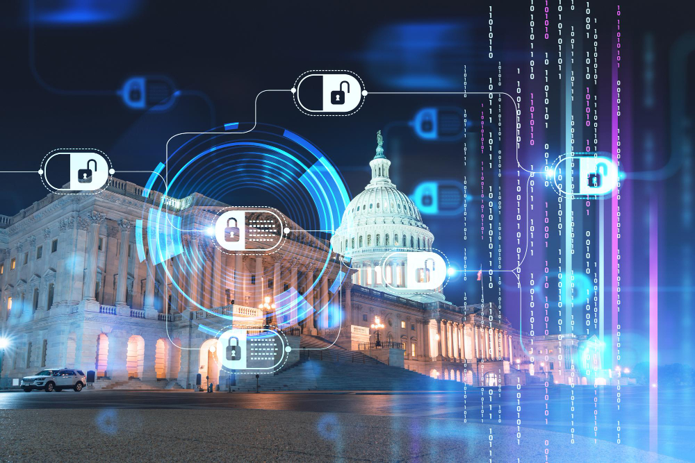 Cybersecurity Innovation in Leading Government Organizations